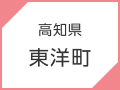 高知県　東陽町